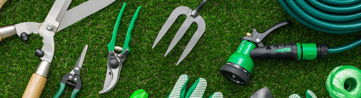 Outils de jardinage : les indispensables pour se lancer