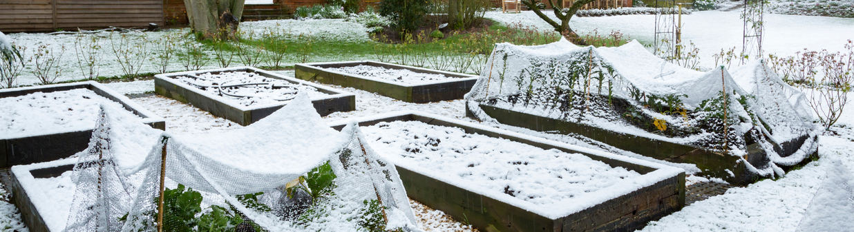 Pflege des Gemüsegartens im Winter