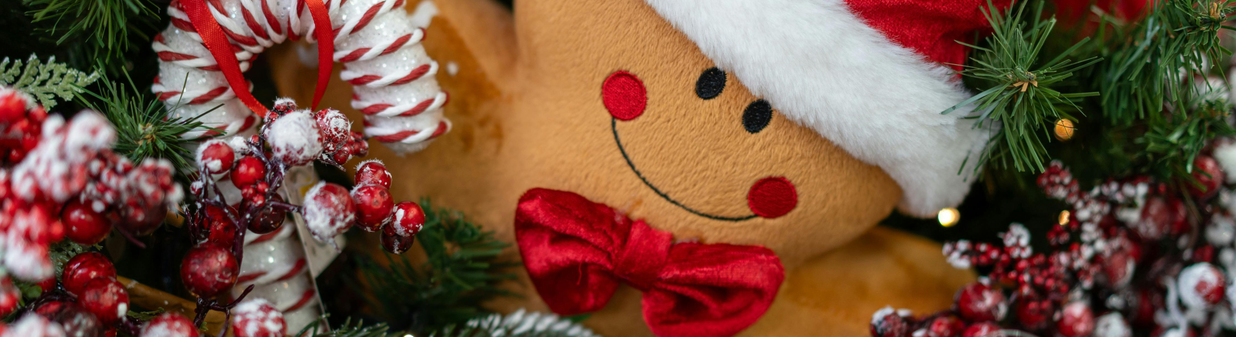 Comment bien ranger ses décorations de Noël pour bien les conserver ?