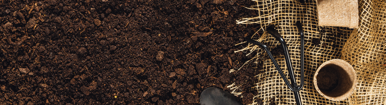 Jardinage pour débutants : par où commencer ?