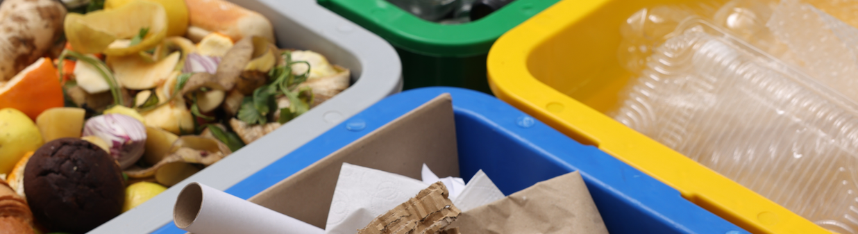Les règles à suivre pour bien trier ses déchets