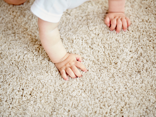 Les tapis à privilégier lorsqu'on vit avec des enfants et des animaux